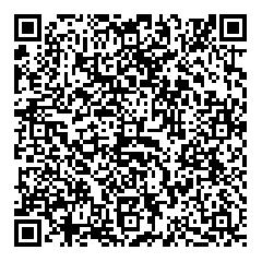 対ピカチュウ用ガムガム弾QRコード